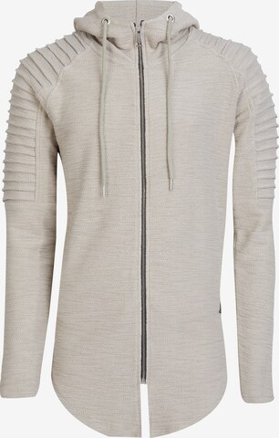 Leif Nelson Zip-Up Hoodie in Grey: front