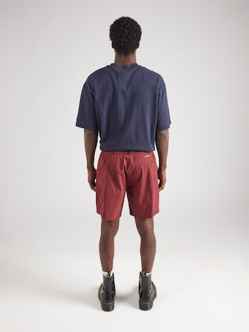 THE NORTH FACE Обычный Штаны 'CLASS V PATHFINDER' в Красный