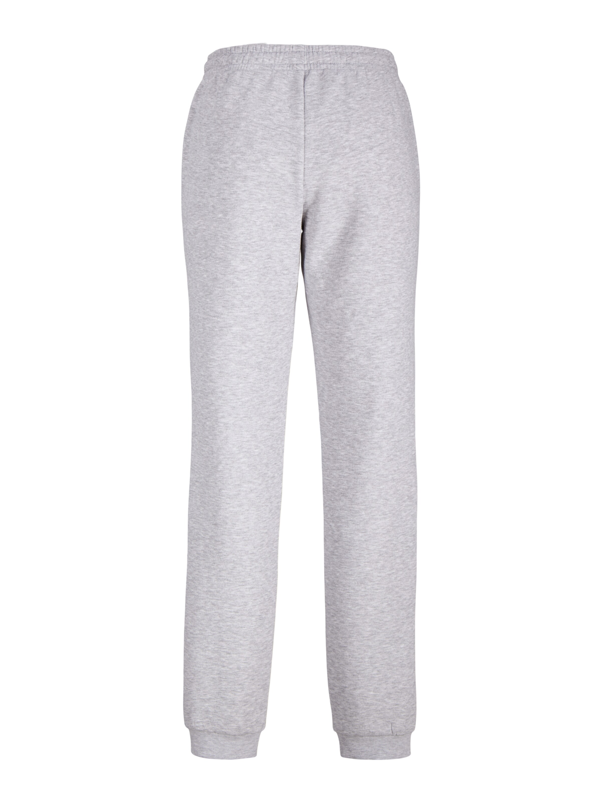 Effilé Pantalon 'JREBWVERA' JJ Rebel en gris