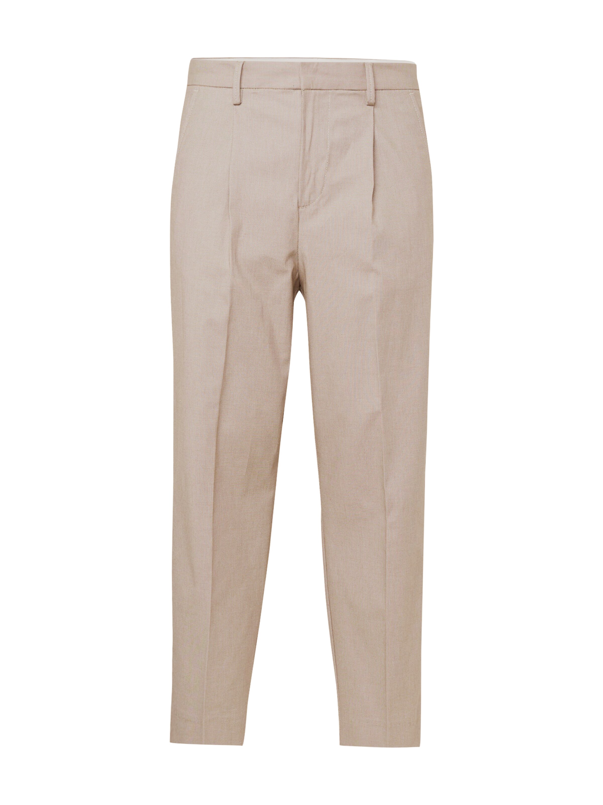 SELECTED Regular Pleat-Front Pants 'TORINO' in Beige: front