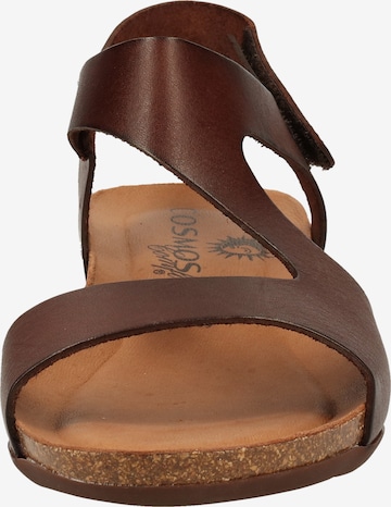 COSMOS COMFORT Strap Sandals in Brown