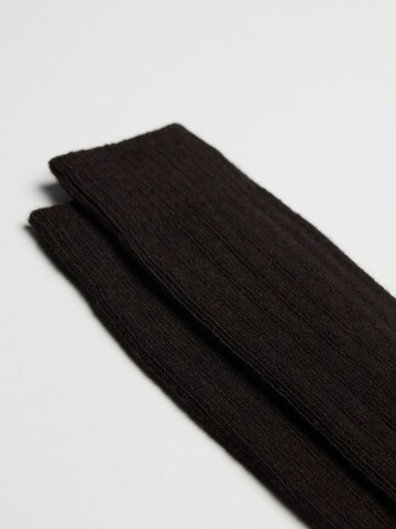 CALZEDONIA Socks in Brown: front