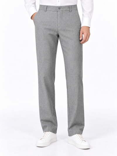 ALLTHEMEN Pleat-Front Pants 'Webatem' in 46 in Light grey, Item view
