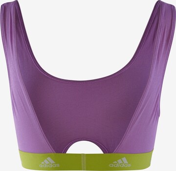 ADIDAS SPORTSWEAR Bustier Bustier ' SCOOP BRALETTE ' in Lila