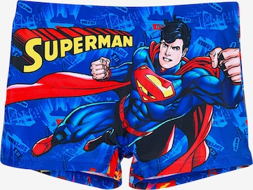 Superman Board Shorts 'Superman' in Blue: front