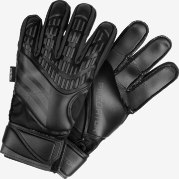 Gants de sport 'Predator' ADIDAS PERFORMANCE en noir : devant