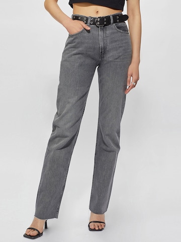 Young Poets Regular Jeans 'Kara' in Grey: front