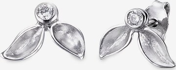BRUNO BANANI Earrings in Silver: front