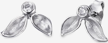 BRUNO BANANI Earrings in Silver: front