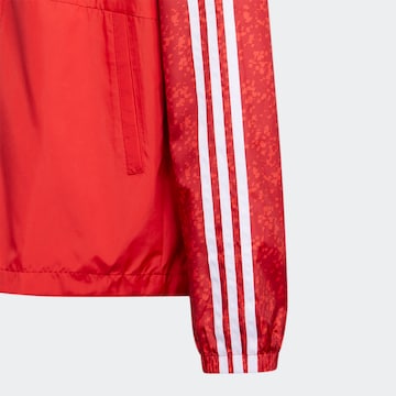 ADIDAS SPORTSWEAR Спортно яке в червено