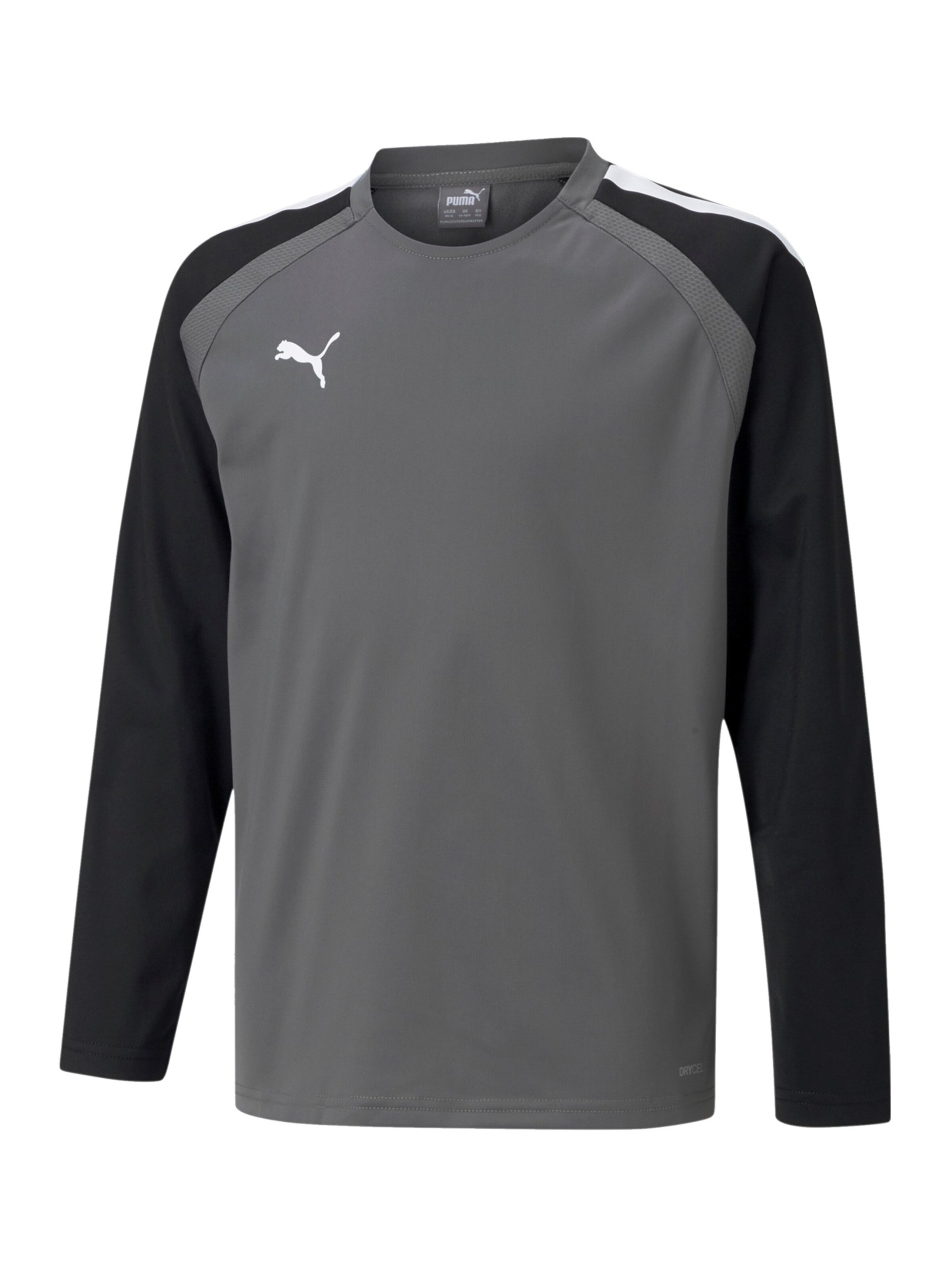 PUMA Funktionsshirt 'TeamLiga' in Grau: Vorderseite