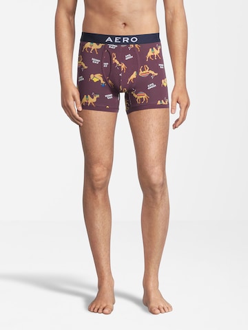 AÉROPOSTALE Boxershorts in Bruin: voorkant