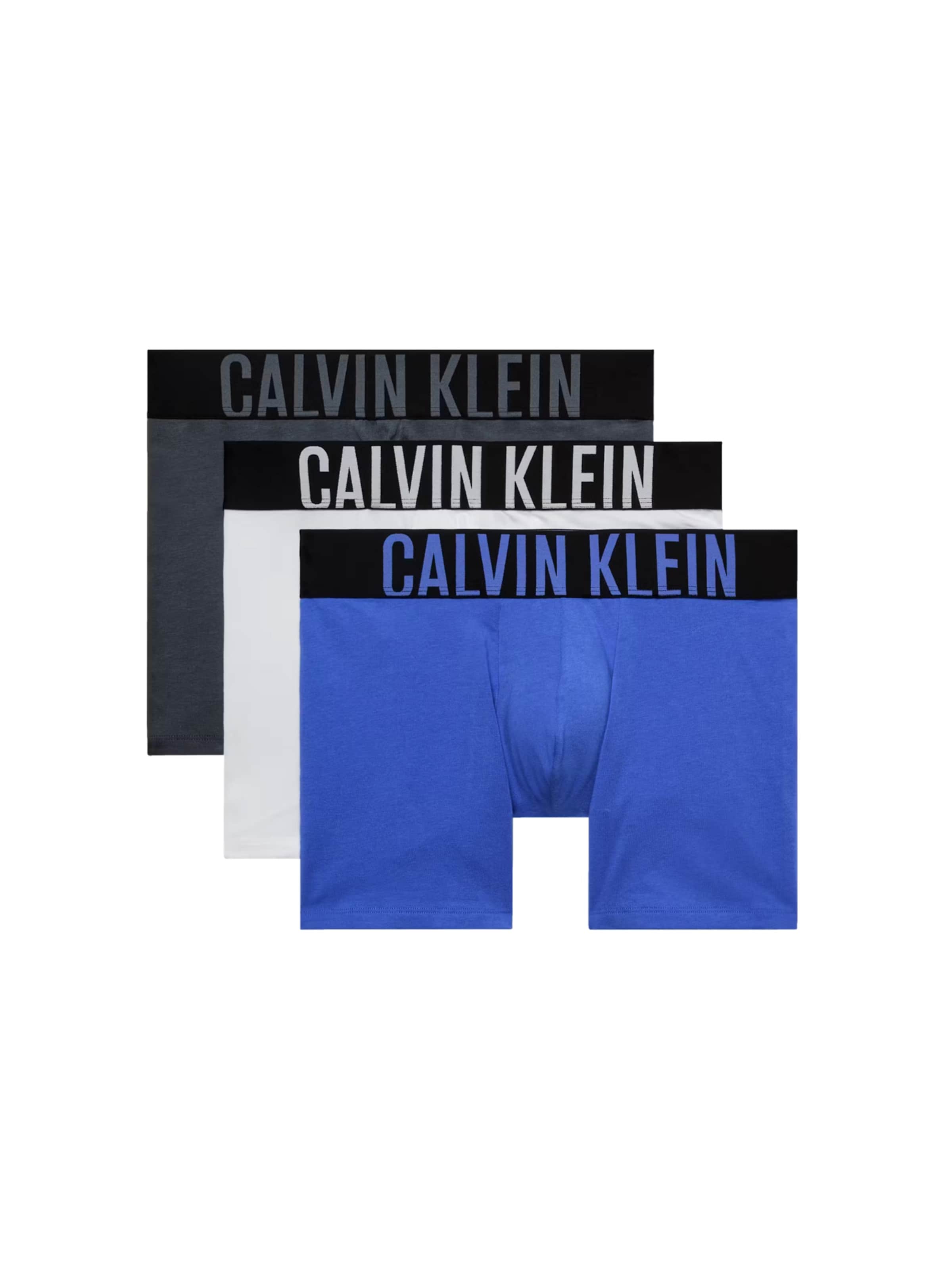 Calvin Klein UnderwearBokserice 'Intense Power' - plava boja: prednji dio