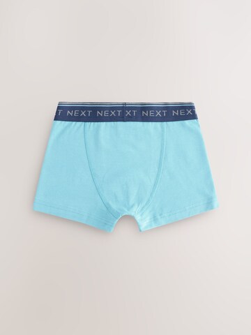 Next Underpants in Blue