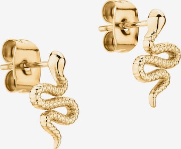 Apple of Eden Earrings in Gold: front