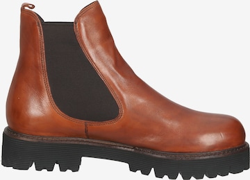 Chelsea Boots Everybody en marron