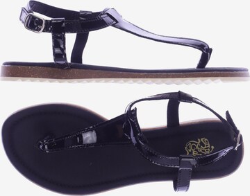 Apple of Eden Sandalen 36 in Schwarz: predná strana