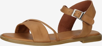 ILC Strap Sandals in Brown: front