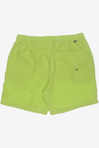 Petrol Industries Shorts in 38 in Green