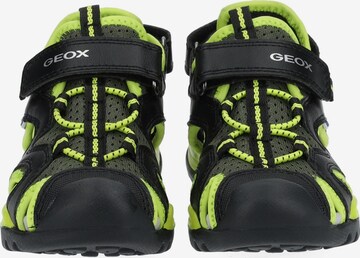 GEOX Sandals & Slippers in Black