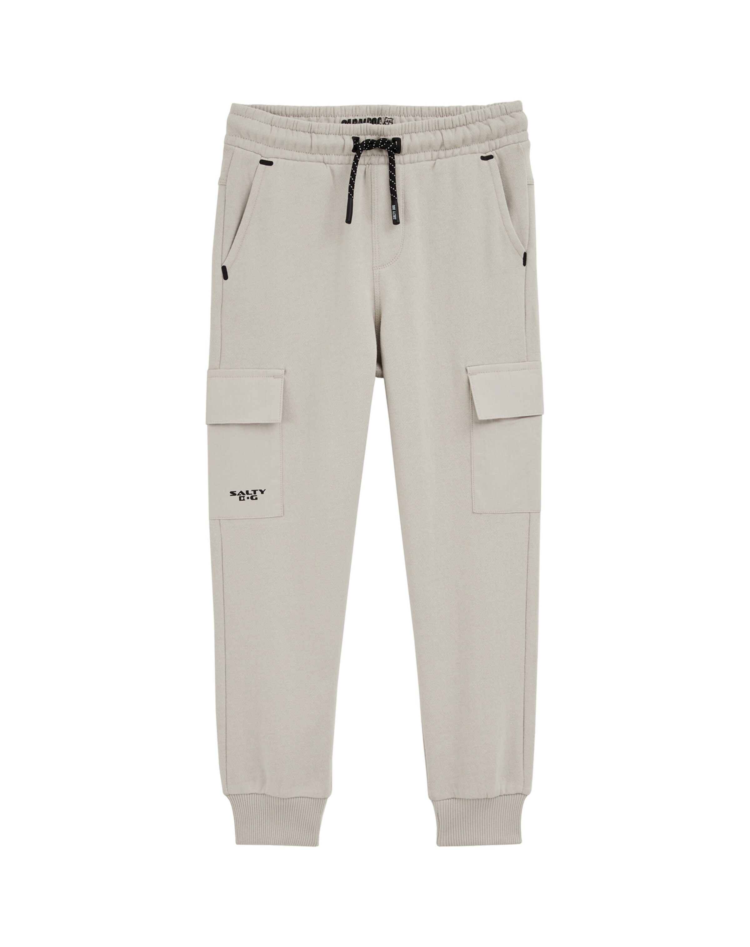 WE Fashion Regular Панталон в сиво: отпред