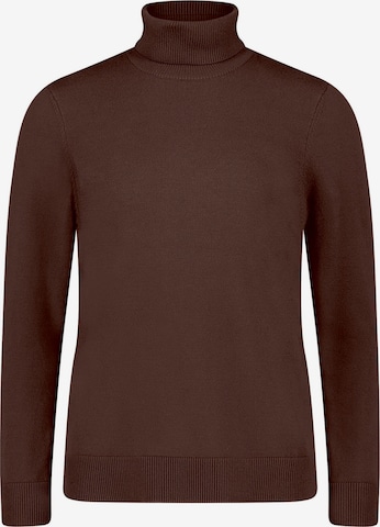Betty Barclay Rollkragenpullover langarm in Braun: Vorderseite