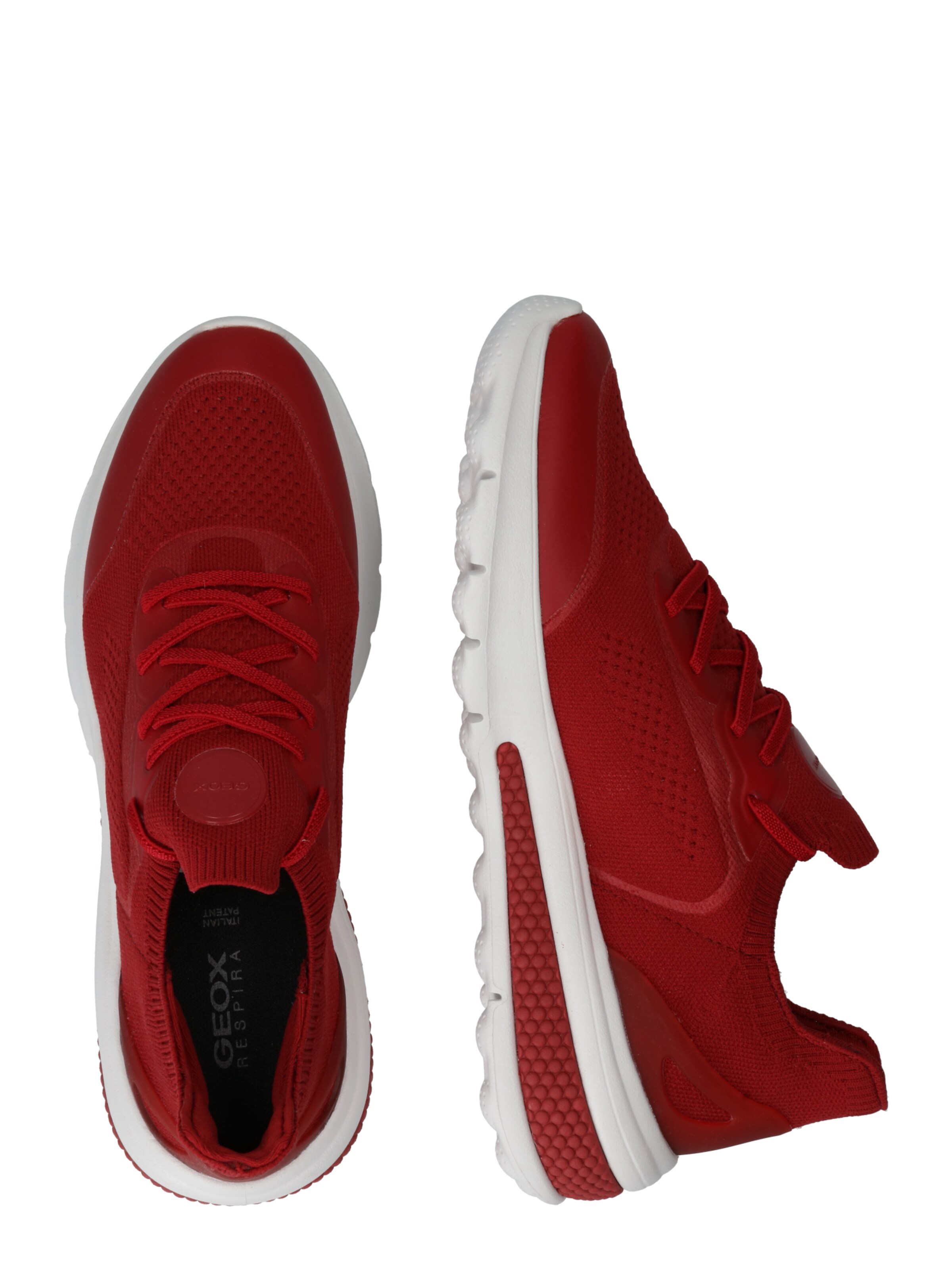 Sneaker bassa di GEOX in rosso