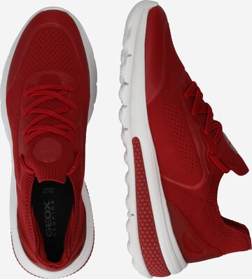 GEOX Platform trainers in Red