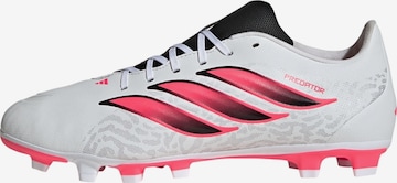 ADIDAS PERFORMANCE Voetbalschoen 'Predator Club' in Wit: voorkant