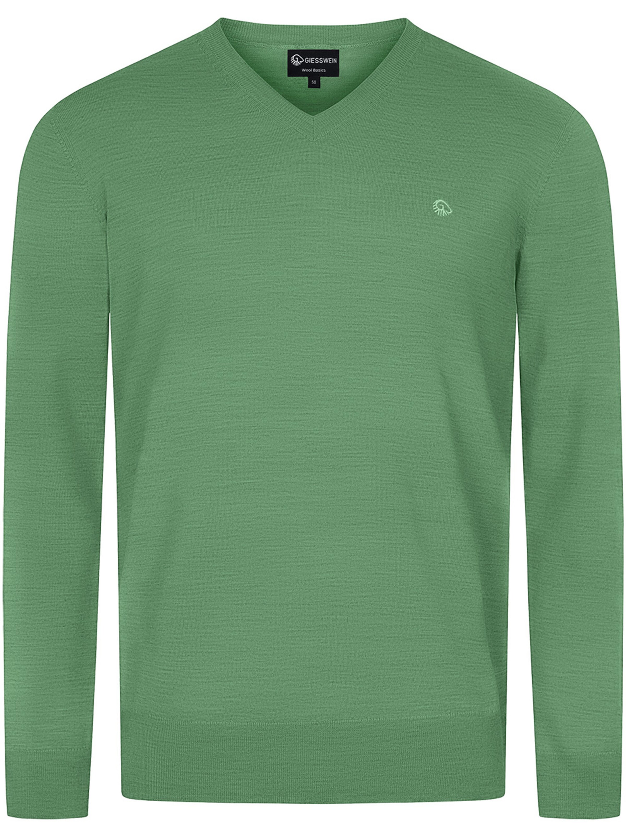 GIESSWEIN Pullover in Grün: Vorderseite