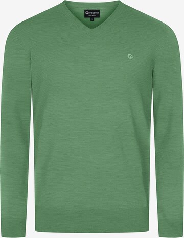 GIESSWEIN Sweater in Green: front