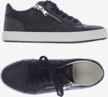 GEOX Sneakers & Trainers in 36 in Black: front
