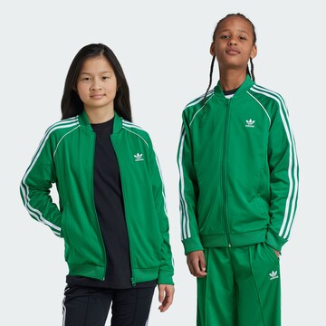 ADIDAS ORIGINALS Кофта на молнии 'Adicolor' в Зеленый: спереди