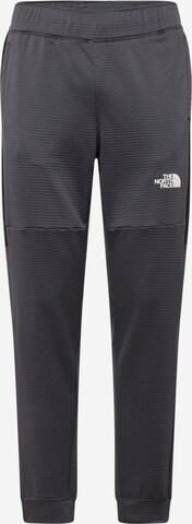 THE NORTH FACE Sportovní kalhoty – šedá: přední strana