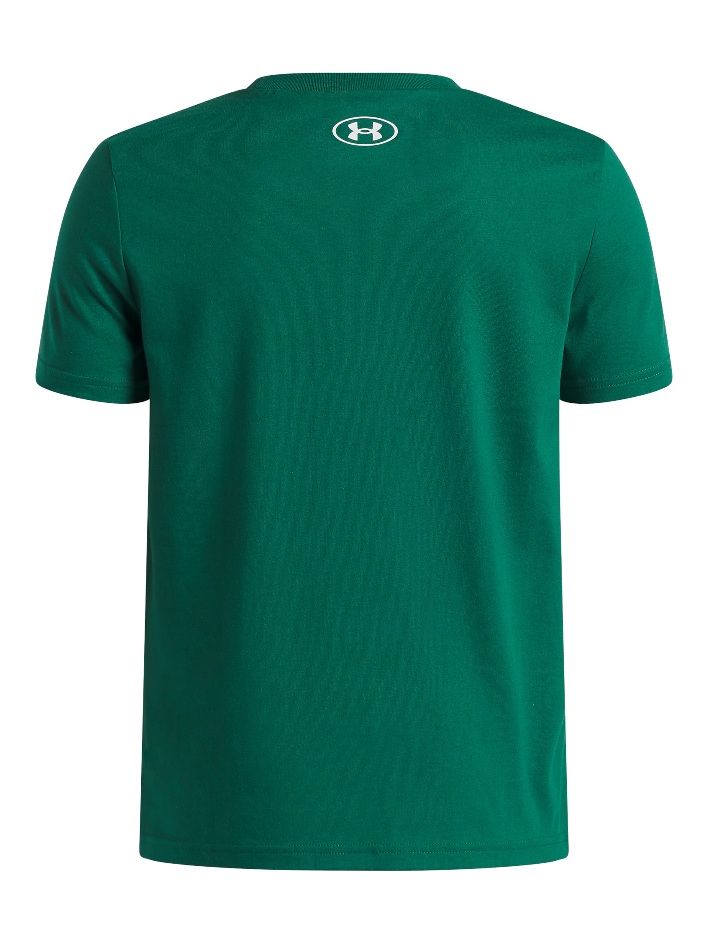 UNDER ARMOUR Functioneel shirt in Groen
