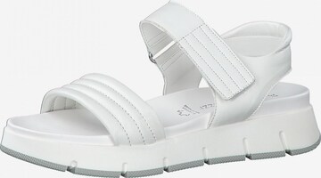 MARCO TOZZI Sandalen met riem in Wit: voorkant