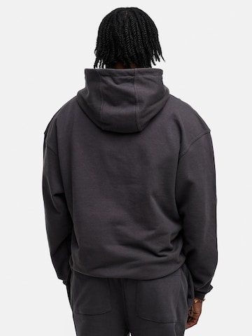 Daily Cotton Sweatshirt 'DCAUSTIN' in Grau