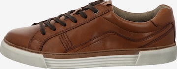 Pius Gabor Lace-Up Shoes in Brown