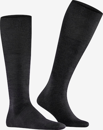 FALKE Knee High Socks 'Airport' in Black: front