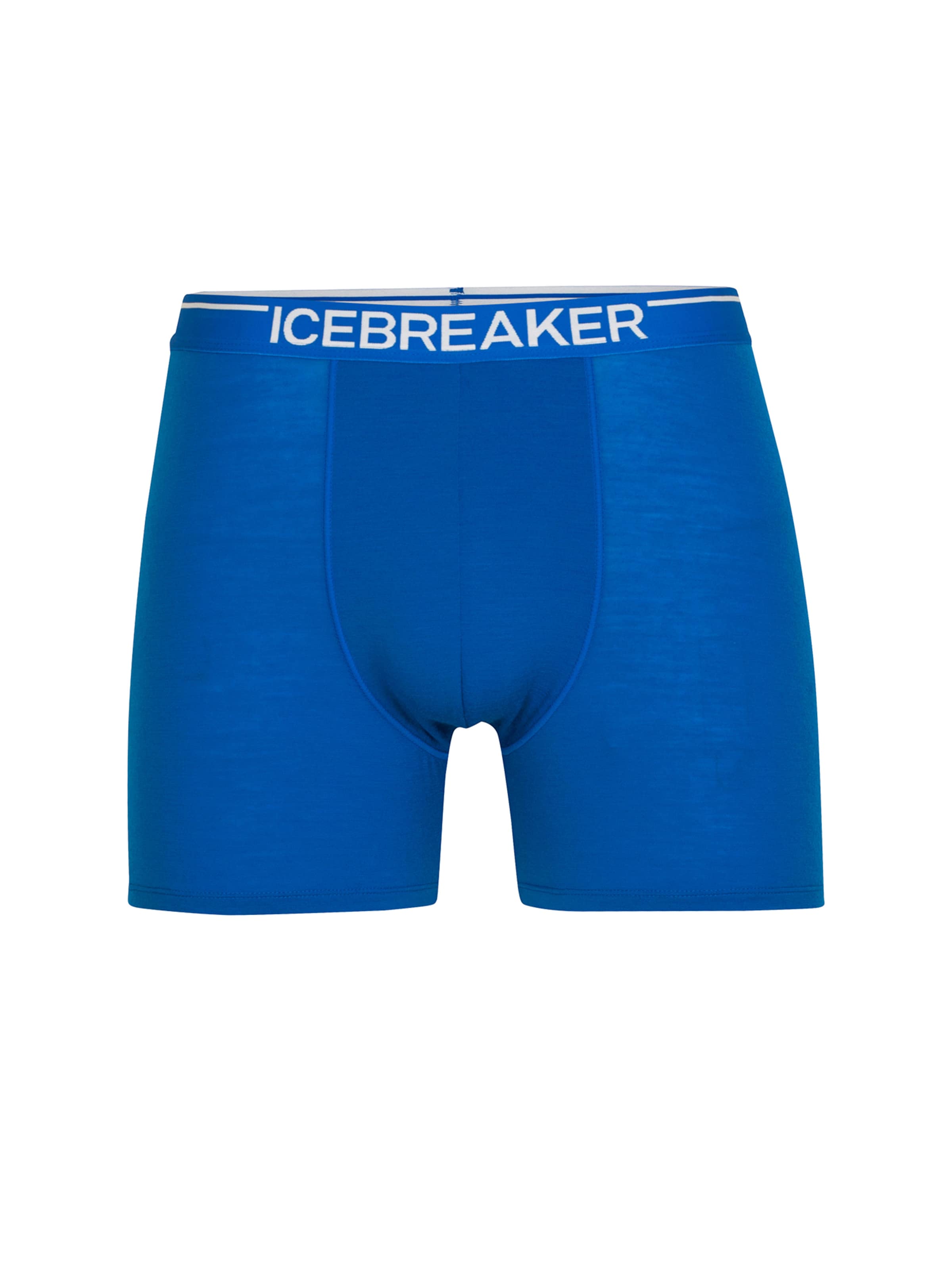 ICEBREAKER Athletic Underwear 'Anatomica' in Blue: front
