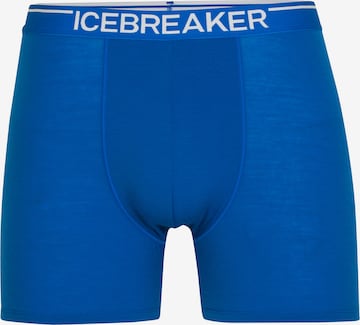 ICEBREAKER Spordialuspüksid 'M Anatomica', värv sinine: eest vaates