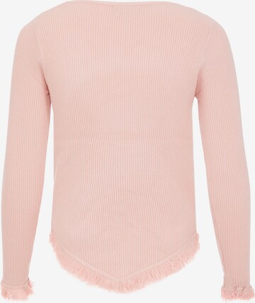 qisha Pullover in Pink