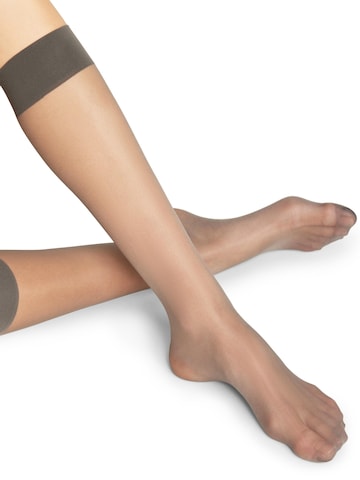 FALKE Knee High Socks 'Seidenglatt' in Grey