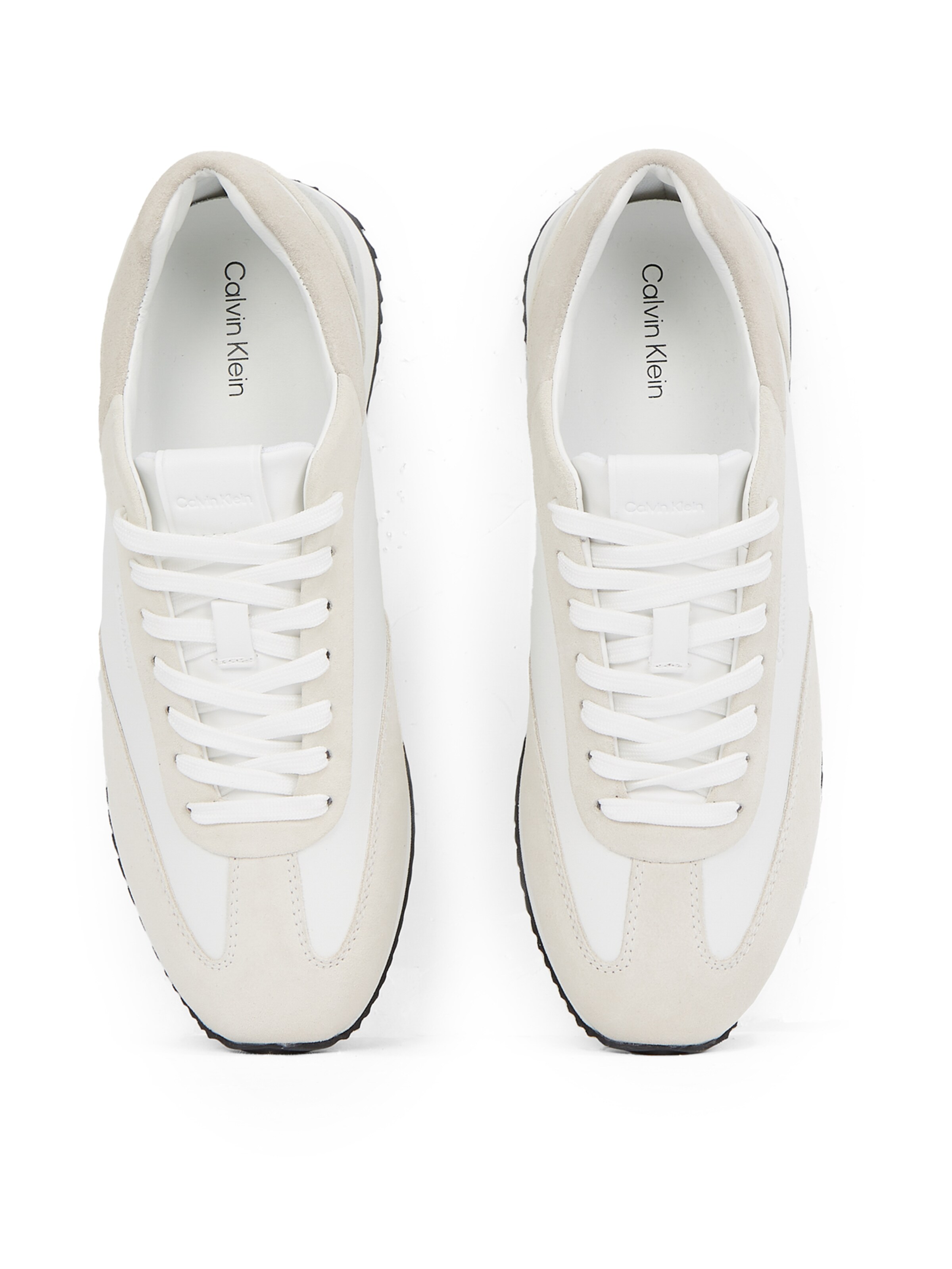 Baskets basses Calvin Klein en blanc