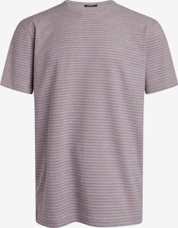 BRUUNS BAZAAR T-shirt i grå: framsida