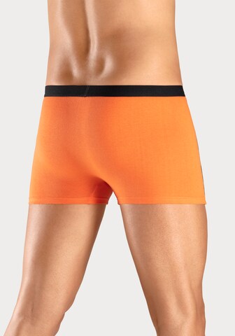 H.I.S Boxershorts in Grün