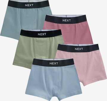 Pantaloncini intimi di Next in blu: frontale