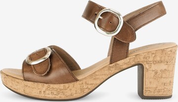 GABOR Sandals in Brown: front