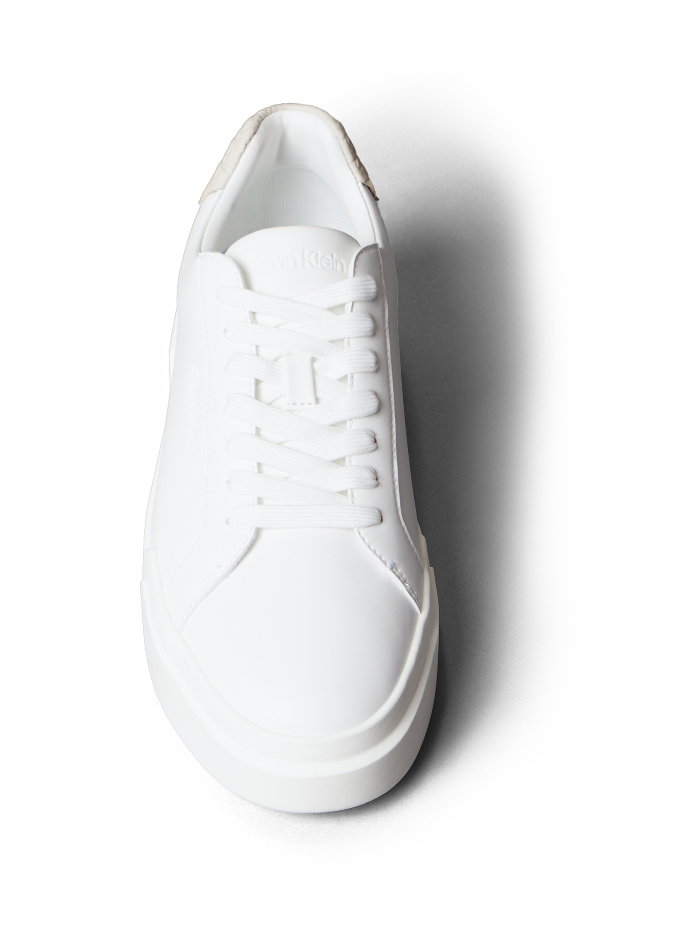 Baskets basses Calvin Klein en blanc
