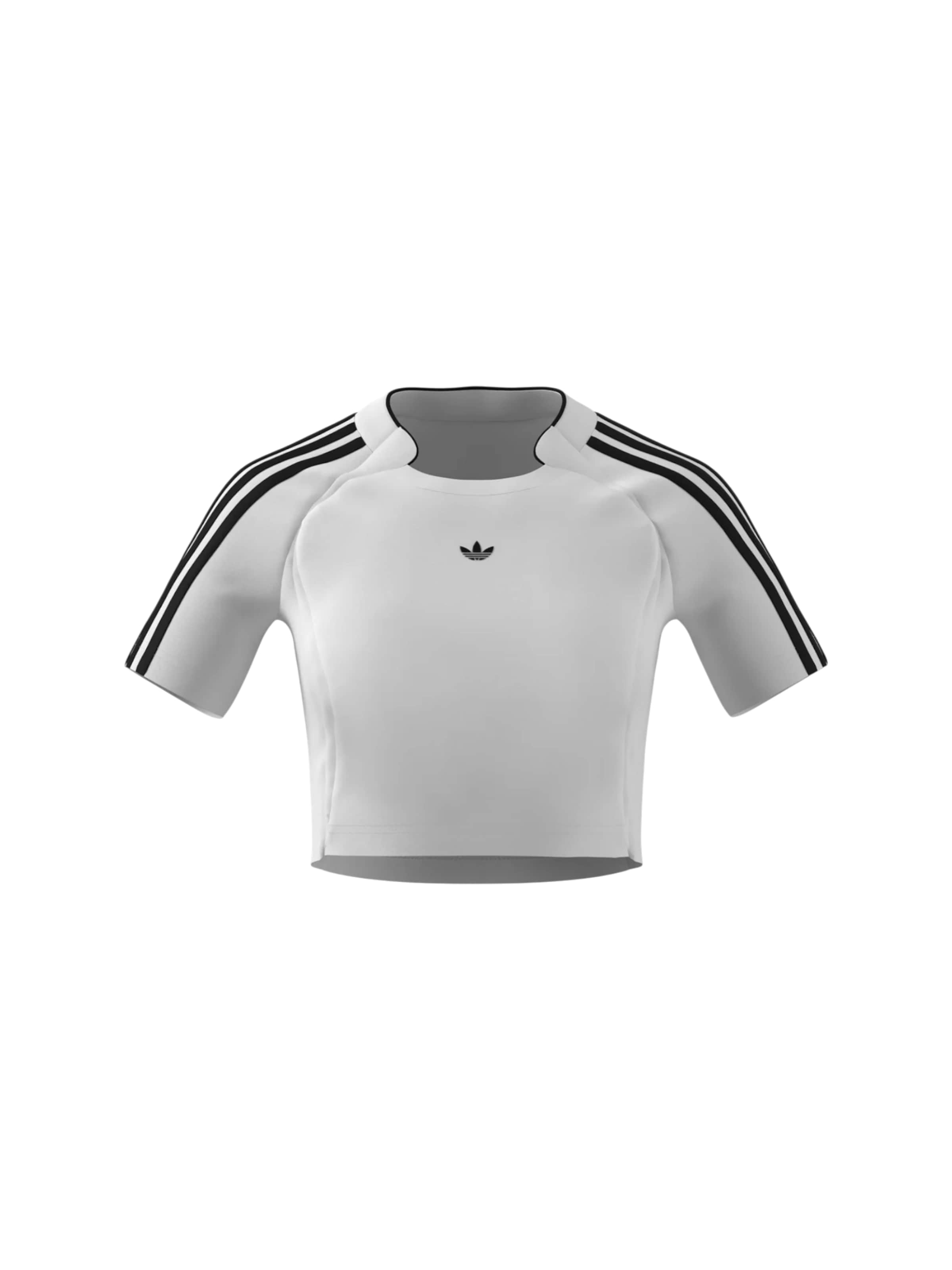 Maglietta di ADIDAS ORIGINALS in bianco: frontale
